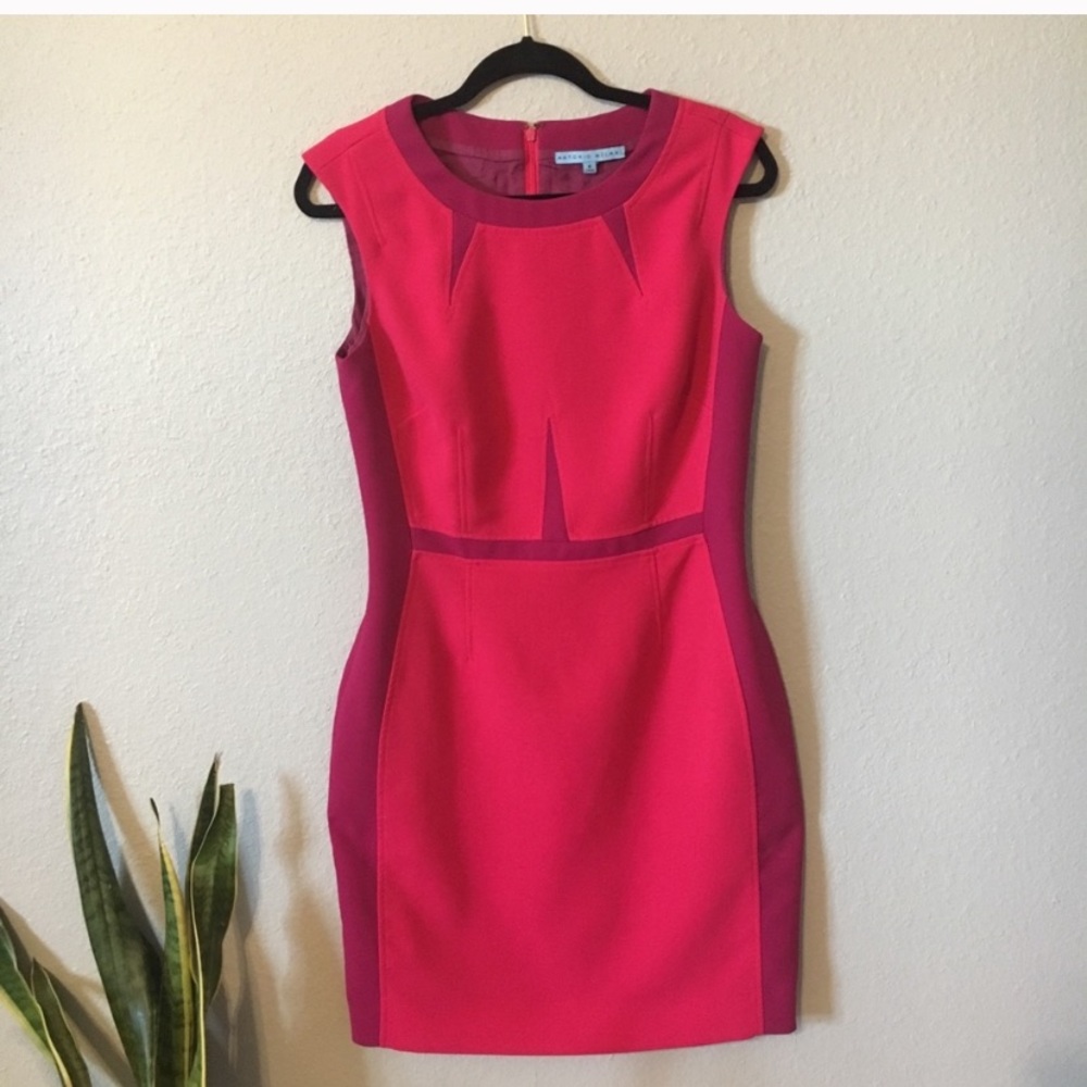 Antonio Melani Colorblock Career Dress